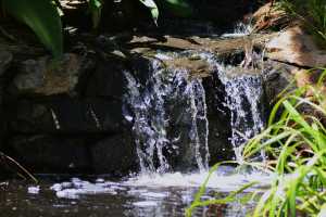 carrick hill 2014 (73)